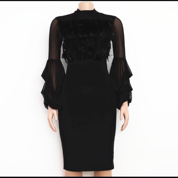 Feathered Black Dress - Picture 8 of 8